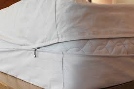 Do mattress Encasements Work Against Bed Bugs?